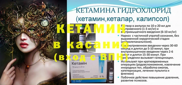 шишки Дмитровск