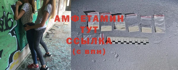 шишки Дмитровск