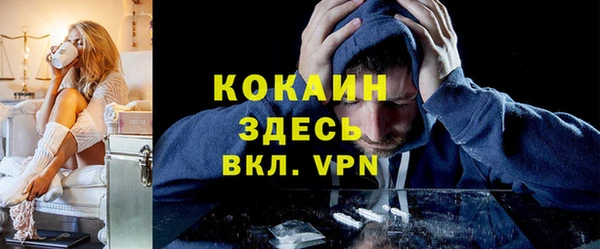 винт Дмитриев