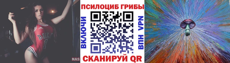 Галлюциногенные грибы Cubensis  Зеленогорск 