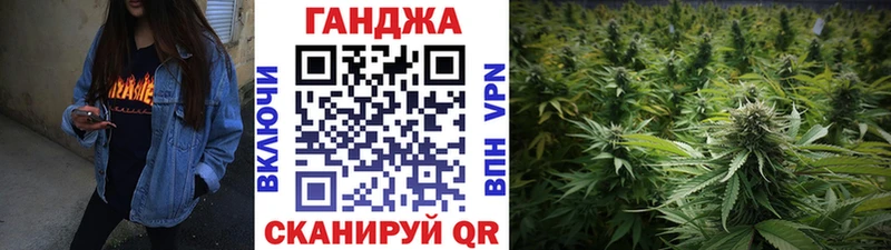 как найти закладки  Зеленогорск  Конопля гибрид 